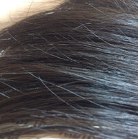 髪の毛が大量に抜けます高校生です中2らへんから 髪の毛が大量に抜けるように Yahoo 知恵袋