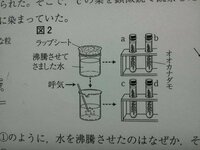 オオカナダモの実験で図2を行ってから暗い場所にオオカナダモを置く Yahoo 知恵袋