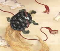 みの亀は ウミガメではなく淡水の亀ですか ８０年位昔 家に Yahoo 知恵袋