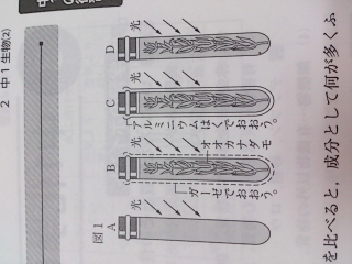 理科btb溶液の問題です呼気を吹き込んで緑色にしたbtb溶液を4 Yahoo 知恵袋