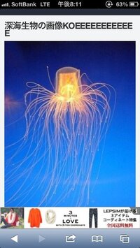 この深海クラゲの名前を教えてください カミクラゲという種です なお深 Yahoo 知恵袋