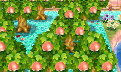 とびだせどうぶつの森でおいしいフルーツをつくりたいんですが Yahoo 知恵袋