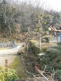 ぼくなつ４のエンディングで屋根の上を走ってるぼくの写真があったんですけ Yahoo 知恵袋