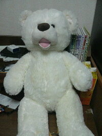 このぬいぐるみをディズニーランドに持っていくとどうなりますか Yahoo 知恵袋