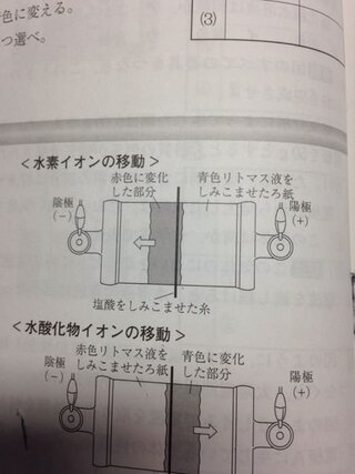 中学理科 酸とアルカリとイオンの質問です 画像の問題で 塩酸は Yahoo 知恵袋