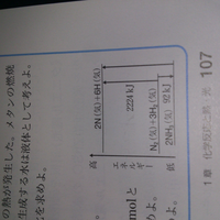 物理S 駿台　前期後期 駿台 物理 テキスト 物理S (前期・後期) 板書・プリント 付属