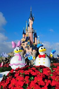 ディズニーの花壇の手入れ方法について質問です ディズニ Yahoo 知恵袋