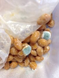 賞味期限4日過ぎた納豆にカビが 賞味期限すぎているので 仕方ないですが 本 Yahoo 知恵袋