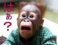 大喜利 画像で一言 このサルは何を見て驚いているの Yahoo 知恵袋