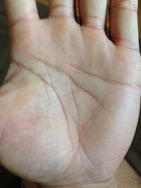 手相鑑定お願いします ちなみに両手がky線です よろしくお願いし Yahoo 知恵袋