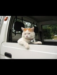 大正ロマン って言葉があるくらいだから 平成ロマン だってあるんだろ Yahoo 知恵袋