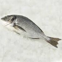 ヘダイの美味しい食べ方を教えて下さい なんでも良いよ 造って Yahoo 知恵袋