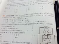 イカやタコは軟体動物だが閉鎖血管系ですか イカやタコなどの頭足 Yahoo 知恵袋