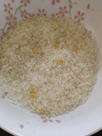 お米を精米したら黄色い硬いコーンみたいな粒が沢山出てきました Yahoo 知恵袋