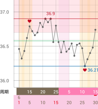 子作り 排卵出血中