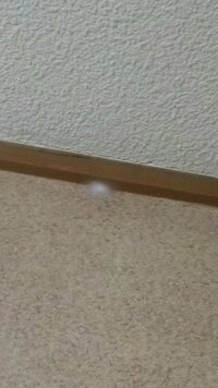 家の中の天井に白いほこりのような繭 ができていたのを発見したので Yahoo 知恵袋
