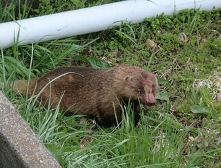 14年4月日 群馬県安中市大谷の県道171号吉井安中線にて撮影しま Yahoo 知恵袋