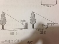写真のように高さが5mの木の影ができています この時 Xとyの長 Yahoo 知恵袋