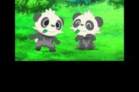 ポケモンxyのアニメについて1 46話にて セレナがヤンチャム Yahoo 知恵袋