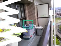 マンションのベランダ 南向き 屋根あり で多肉植物を育てているのですが こ Yahoo 知恵袋