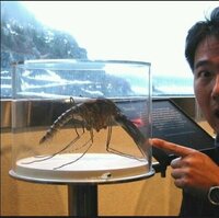 テラフォーマーズのインヴォーカーとは 実在する英語ですか 英語 Yahoo 知恵袋