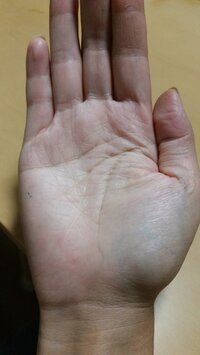 手相の変形ますかけ線について質問です 最近 右手のみ知能線と感情線がうっす Yahoo 知恵袋
