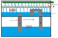 水槽の中に川の流れを作りたいのですがどなたか良いアドバイスはありま Yahoo 知恵袋