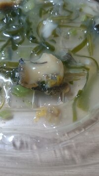 牡蠣などの貝類は 何歳頃から食べさせていいのでしょうか 火が通っていれ Yahoo 知恵袋