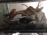 アクアテラリウムを始めたいと思っています 初めてなので 百均で素材を購入しよう Yahoo 知恵袋