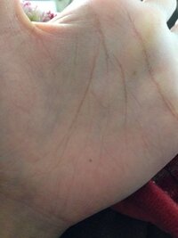 多分二年ぐらい前に節分にめざしをヒイラギに刺す時にトゲが刺さった記憶がある Yahoo 知恵袋