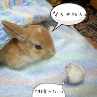 Lineのトプ画についてです 現在 この画像をトプ画にしているん Yahoo 知恵袋