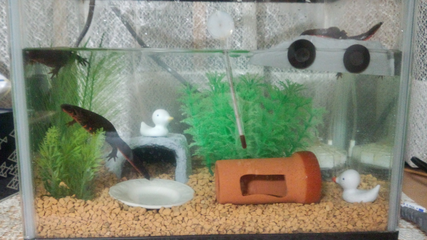 まとめ買いを承諾されたのですが、さらに追加で購入したい商品があり