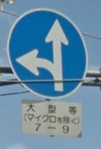 道路標識の一つ 補助標識で 大型 大特 特定中型 マイクロを除く と 大 Yahoo 知恵袋