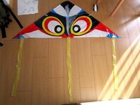 凧の揚げ方をお聞きします ダイソーでデルタカイトを買ってきました さっそく Yahoo 知恵袋