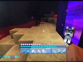 マインクラフトps3ネザーからペットが帰ってこれません ペットと 犬3匹 Yahoo 知恵袋