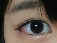 したら てこ て てき かまいたち られ 謝っ たと