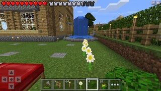 マインクラフトpeで 花を植えたらこの様にズレてしまいます Yahoo 知恵袋