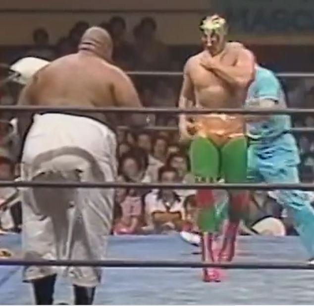 デストロイヤーとミルマスカラスとでは、どちらが強いですか？？また