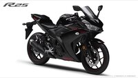 バイクの高回転について質問させていただきます。

この度2/7にYZF-R25を購入してまだ一週間も経ってない新参者です。
今までドラッグスターや原付しか乗った事がなく、スポーツタイプは初め て購入しました。
バイク屋さんには『7000回転からがこのバイクの楽しみですよ！』と言われましたが、6速で7000回転まで回すと100キロ出てしまいます。
ここで質問なんですが、どうやって70...