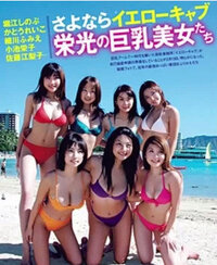 今から年ほど前のイエローキャブ全盛期に巨乳アイドルで売り出した中で 小池栄 Yahoo 知恵袋