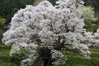 二股が彼女にバレてしまい もう会いたくないと言われた場合 携帯のアドレ Yahoo 知恵袋