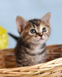 暇暇暇何かやることを教えて それか お話ししてください 暇でやるこ Yahoo 知恵袋