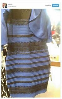 「白と金」「いや青と黒だ」あなたはどっちに見える？？？

できれば理由もお願いします 