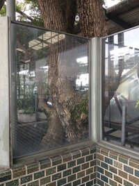 家の近くに
心霊スポット

ありますかウチの
近くの京阪萱島駅には

切れない木が
あります。
駅の真ん中に

そびえ立っています。。。 