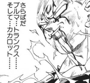 ドラゴンボールZについて質問です。 - 魔人ブウ編でベジータはこ