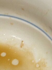 ココアに混入した虫の見分け方溶かすとぷつぷつ浮くと聞きましたが画像を Yahoo 知恵袋