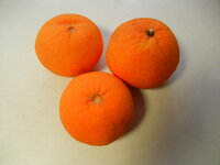 ひとくち食べてうっ O とビックリするくらい酸っぱい夏み Yahoo 知恵袋