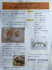 札幌のトイプードル連れ去り事件についてですが なぜ飼い主は犬ばか Yahoo 知恵袋