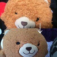 ぬいぐるみの洗い方についてです これはすごく大事なくまさんのぬいぐる Yahoo 知恵袋