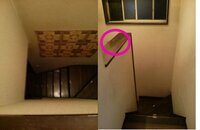 至急 ネコが3メートルから落ちました 病院に連れて行きますが確認 Yahoo 知恵袋